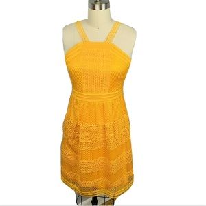 NWT Tahari On My Mind Fit & Flare Dress